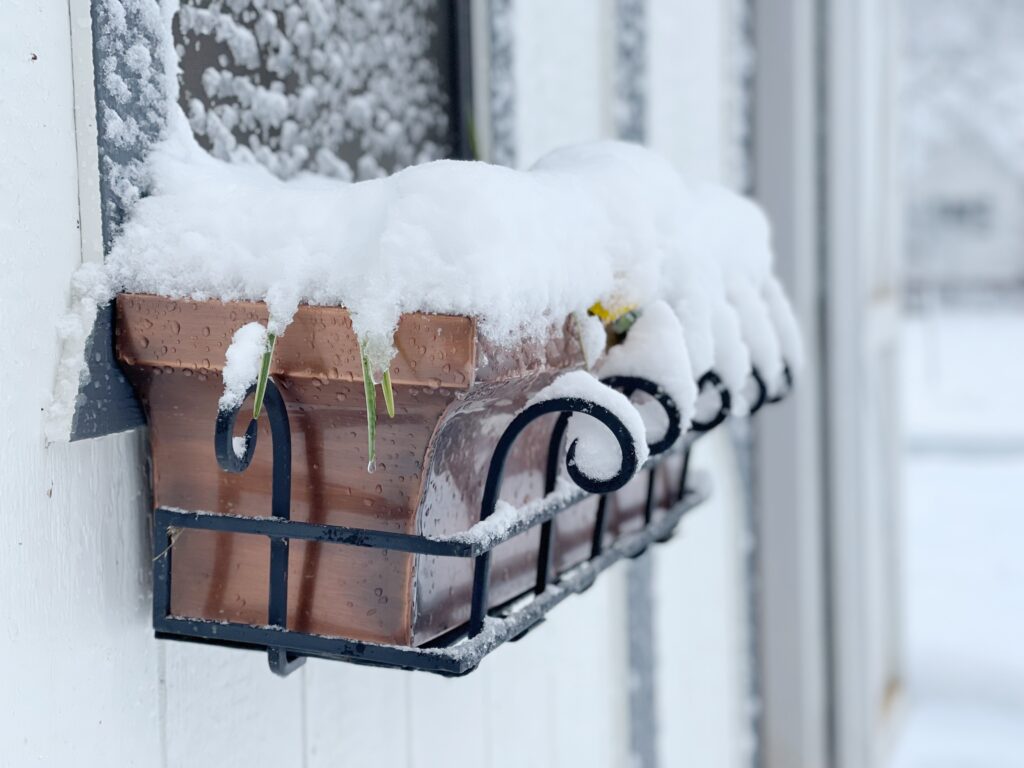 a window box covered in snow on a chicken coop