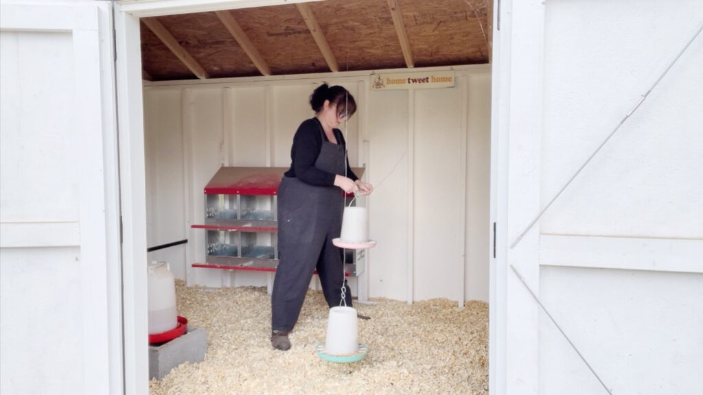 a woman hanging feeders in a chicken coop